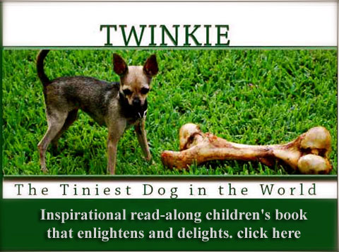 Twinkie